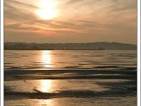 20101206_0007