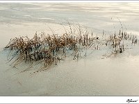 20101206_0011