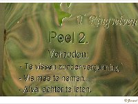 Sized_Ringselven_20090708_0001