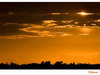 sized_Ringselven_20090708_0003
