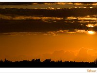 sized_Ringselven_20090708_0005