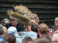 20170802 0202 : Falconcrest Valkerij Centrum Eindhoven