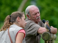 20170802 0303 : Falconcrest Valkerij Centrum Eindhoven