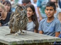 20170802 0385 : Falconcrest Valkerij Centrum Eindhoven