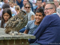 20170802 0390 : Falconcrest Valkerij Centrum Eindhoven