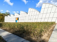 20170425 0085-HDR-bewerkt : Bergeijk, Nederland, Plaatsen, Rietveld tour Bergeijk