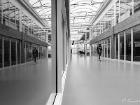 20200122 0044 1 : Brainport Iindustries Campus Eindhoven