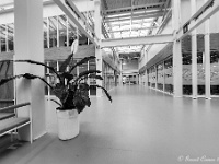20200122 0093 1 : Brainport Iindustries Campus Eindhoven