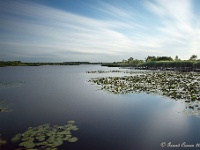 20160708 0005 : Ringselven