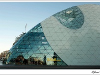 20110208_0095