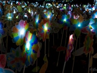 20121112 0076 : Glow 2012