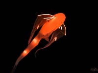 20131115_0279