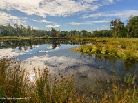 20170718 0011-HDR : Belgie, Gruitrode, Plaatsen