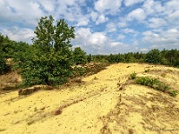 20170814 0014  ... wel veel zand, pardon duinen... : Oudsberg