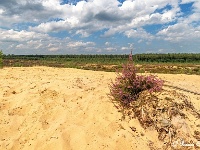 20170814 0076  ... moet er nog zand zijn... : Oudsberg