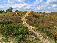 20170814 0087  ... de Oudsberg... : Oudsberg