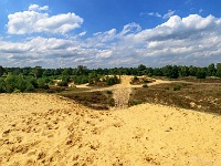 20170814 0088  ... met, indien er nog enige twijfel zou bestaan, veel zand... : Oudsberg