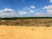 20170814 0089-Pano  ... heel veel zand... : Belgie, Gruitrode, Oudsberg, Plaatsen