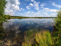 20170814 0112-Pano  ...het Bergerven in Neeroeteren/Rotem... : Belgie, Bergervan, Neeroeteren, Plaatsen