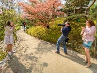 20170404 0104 0106 : Belgie, Hasselt, Japanse tuin, Plaatsen