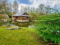 20170404 0152-HDR-bewerkt : Belgie, Hasselt, Japanse tuin, Plaatsen