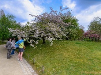 20170404 0177 179 : Belgie, Hasselt, Japanse tuin, Plaatsen