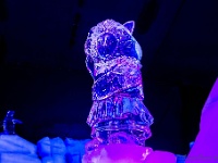 20161206 0116 : Winterland 2016