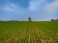 20180412 0026-HDR : Belgie, Horst, Plaatsen