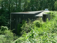 20110811_0069