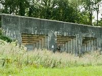 20110811_0078