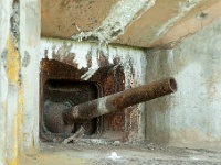 20110811_0081
