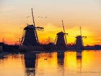 20190225 0028 : Kinderdijk