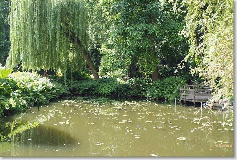 sized_Kruidtuin_20080704_17.JPG - ASCII