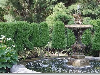 sized_Kruidtuin_20080704_01