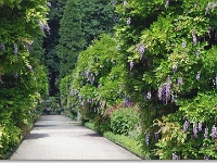 sized Kruidtuin 20080704 06