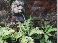 sized_Kruidtuin_20080704_08
