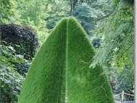 sized_Kruidtuin_20080704_12