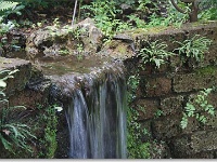 sized_Kruidtuin_20080704_13