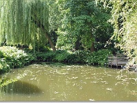 sized_Kruidtuin_20080704_17