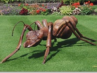 sized_Kruidtuin_20080704_18