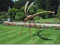 sized_Kruidtuin_20080704_19