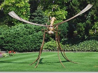 sized_Kruidtuin_20080704_20