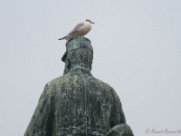 20170212 0012 : Oostende