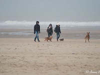 20170212 0156 : Oostende