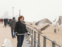 20170212 0312 : Oostende