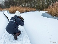 20190124 0053 : Het Vinne