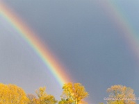 20210504 0001 : Belgie, Hamont-Achel, Achterhoek, Regenbogen