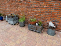 20210612 0101 : Onze tuin