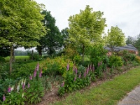 20210612 0146 : Onze tuin