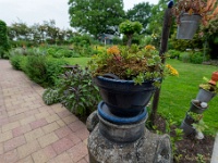 20210612 0198 : Onze tuin